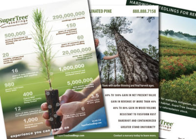 supertreeseedlings advertisement graphic design