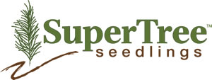 SuperTree Seedlings